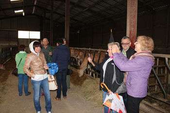 Visite de l'élevage de vaches parthenaises de MM. Goudeau